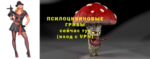 Альфа ПВП Баксан