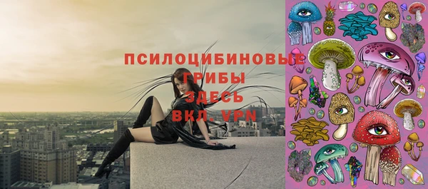 тгк Покачи
