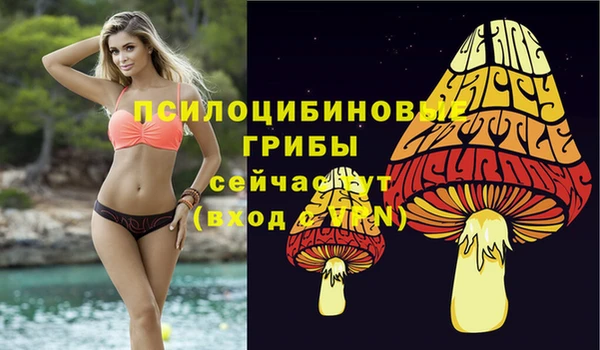 спиды Покровск