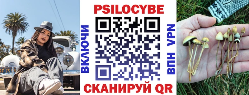 Псилоцибиновые грибы Psilocybine cubensis  хочу наркоту  гидра ТОР  Окуловка 